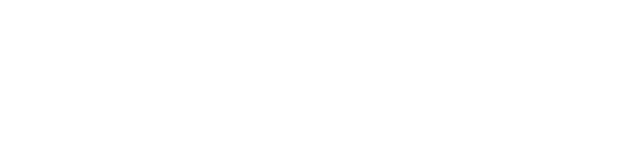 TaxWise Consulting